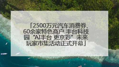 2500万元汽车消费券、60余家特色商户 丰台科技园“AI丰台 更京彩”未来玩家市集活动正式开幕