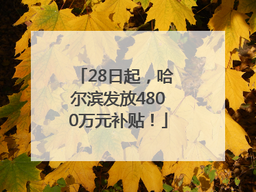 28日起，哈尔滨发放4800万元补贴！