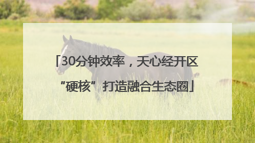 30分钟效率，天心经开区“硬核”打造融合生态圈
