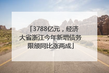 3788亿元，经济大省浙江今年新增债务限额同比涨两成