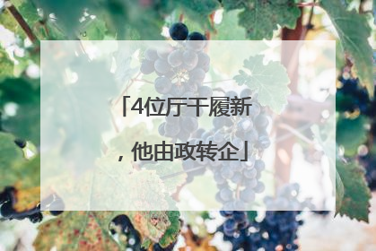 4位厅干履新，他由政转企