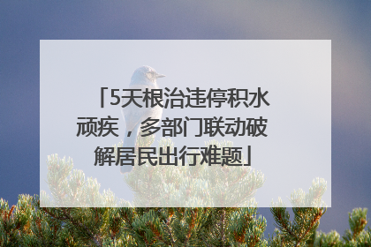 5天根治违停积水顽疾，多部门联动破解居民出行难题