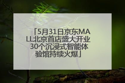 5月31日京东MALL北京首店盛大开业 30个沉浸式智能体验馆持续火爆