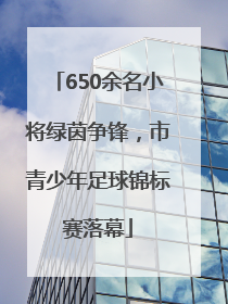 650余名小将绿茵争锋，市青少年足球锦标赛落幕