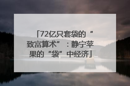72亿只套袋的“致富算术”：静宁苹果的“袋”中经济