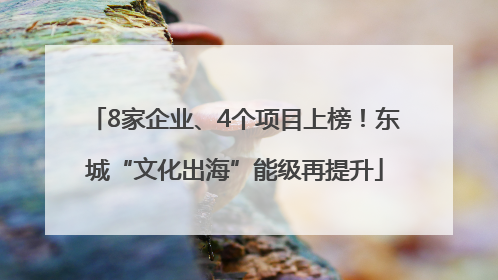 8家企业、4个项目上榜！东城“文化出海”能级再提升