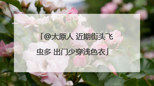 @太原人 近期街头飞虫多 出门少穿浅色衣