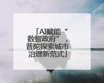 AI赋能“数智政府”，普陀探索城市治理新范式