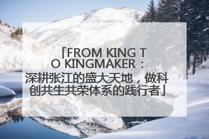FROM KING TO KINGMAKER：深耕张江的盛大天地，做科创共生共荣体系的践行者