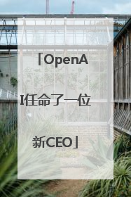 OpenAI任命了一位新CEO