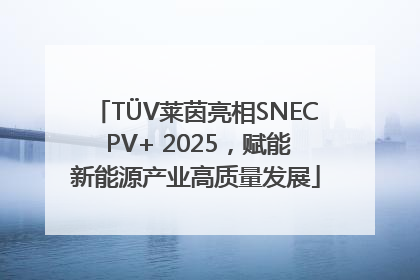TÜV莱茵亮相SNEC PV+ 2025，赋能新能源产业高质量发展
